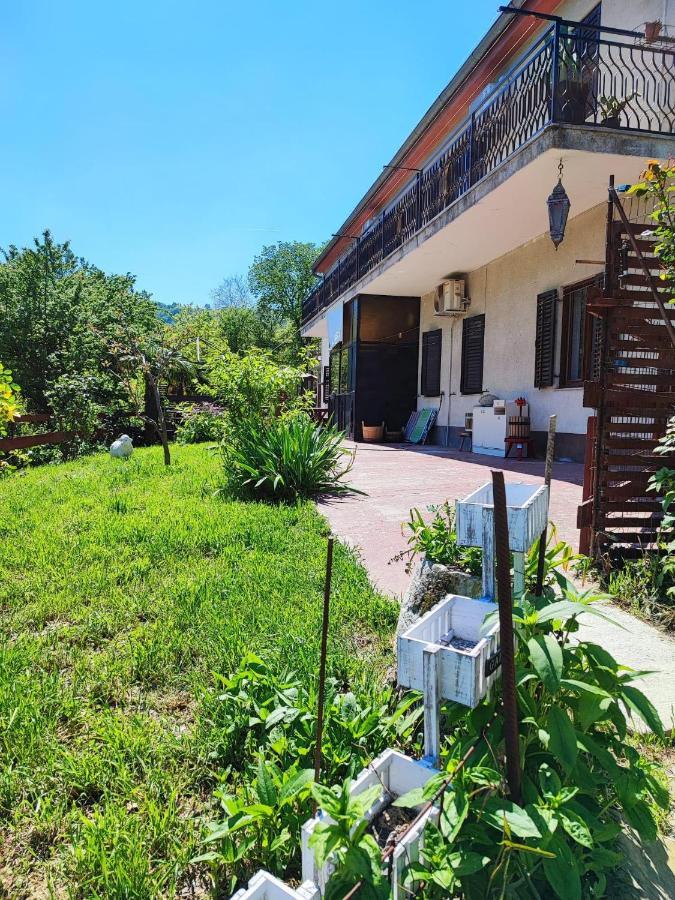 Apartment Dedo, Salara Farmhouse 科佩尔 外观 照片
