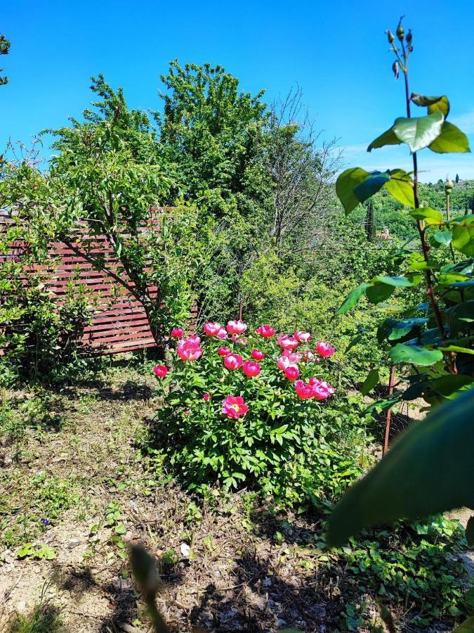 Apartment Dedo, Salara Farmhouse 科佩尔 外观 照片